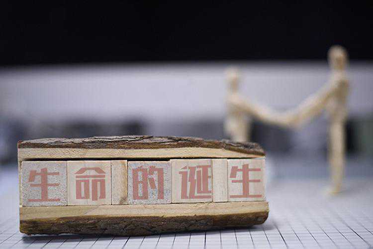 从机器授精到AI辅助生育