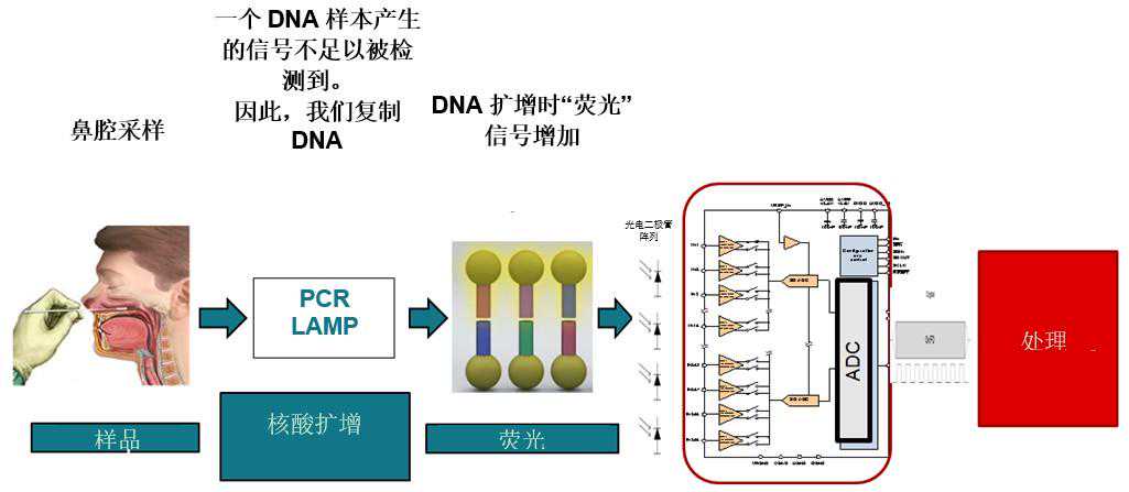 核酸检测需要用到哪些应用器件？