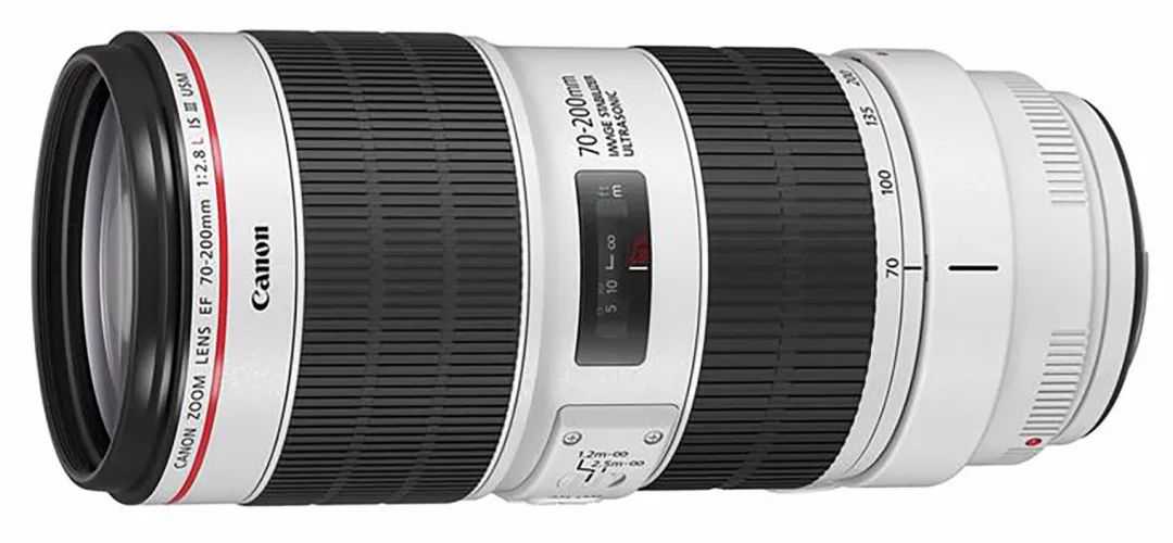 拍荷花选什么镜头好？除了70-200mm还有什么选择？